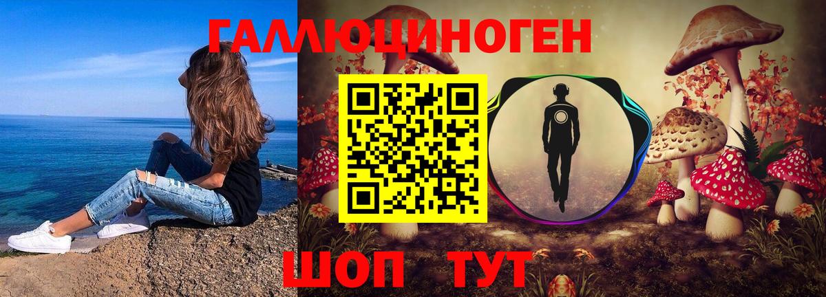 Галлюциногенные грибы GOLDEN TEACHER  Псилоцибиновые грибы Psilocybine cubensis  Луга  Вход с VPN 